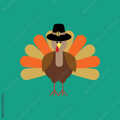 Thankgiving day turkey