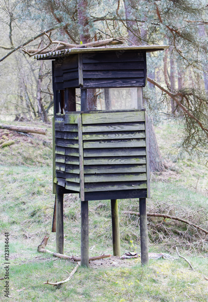 Wildlife observation point in the Netherlands