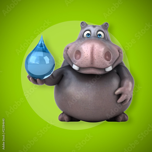 Hippo