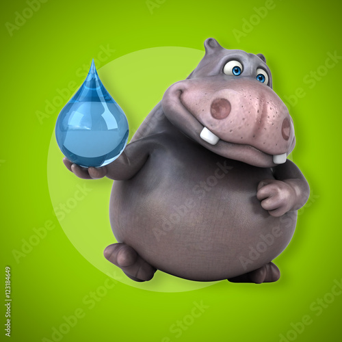 Hippo