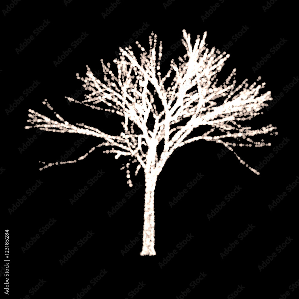 Fototapeta premium Christmas Tree, Light Illumination