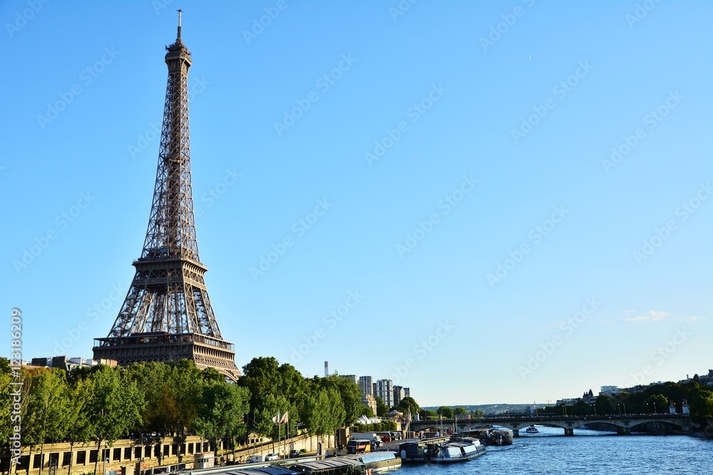 Fototapeta premium Nehir ağaç ve eiffel