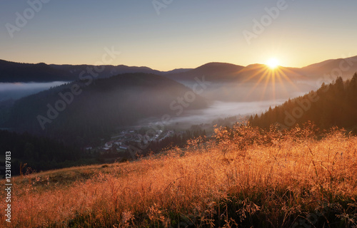 Landcape with sun, meadow, forest and mountain.