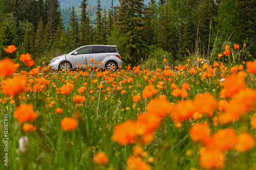 car orange flowers meadow mountains