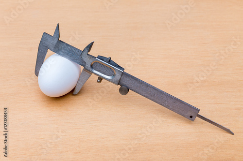 Slika na platnu Vernier caliper measuring white chicken egg