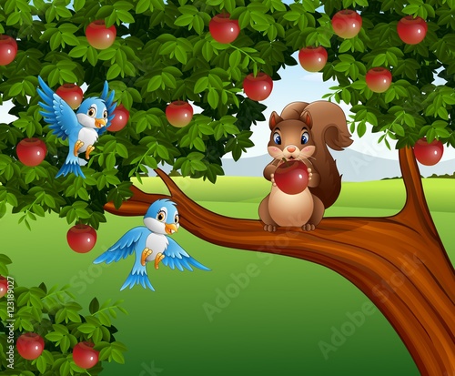 Cute squirrel on the apple tree