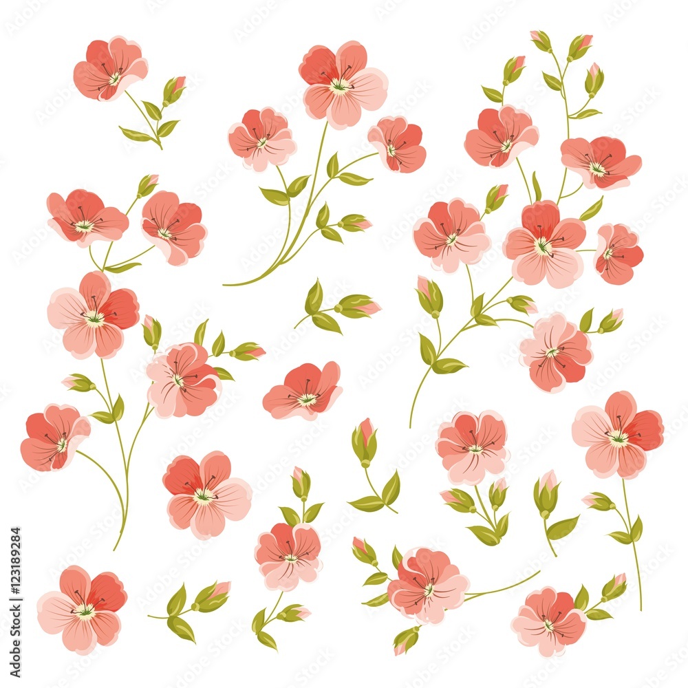 Set of Linen flowers elements. Collection of flower elements isolated on white background. Elegant spring flowers bundle. Vector illustration.