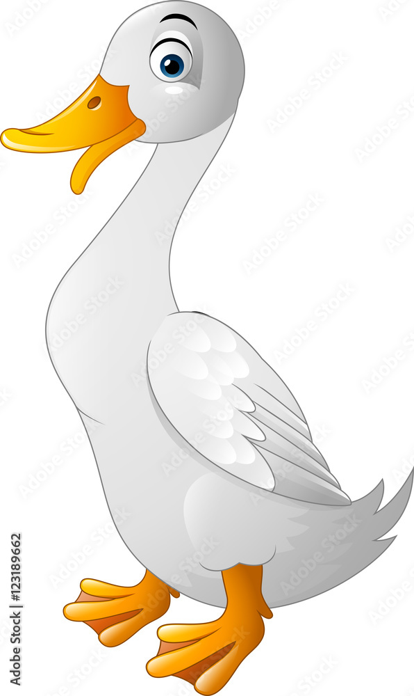 Duck funny cartoon Duck funny cartoon