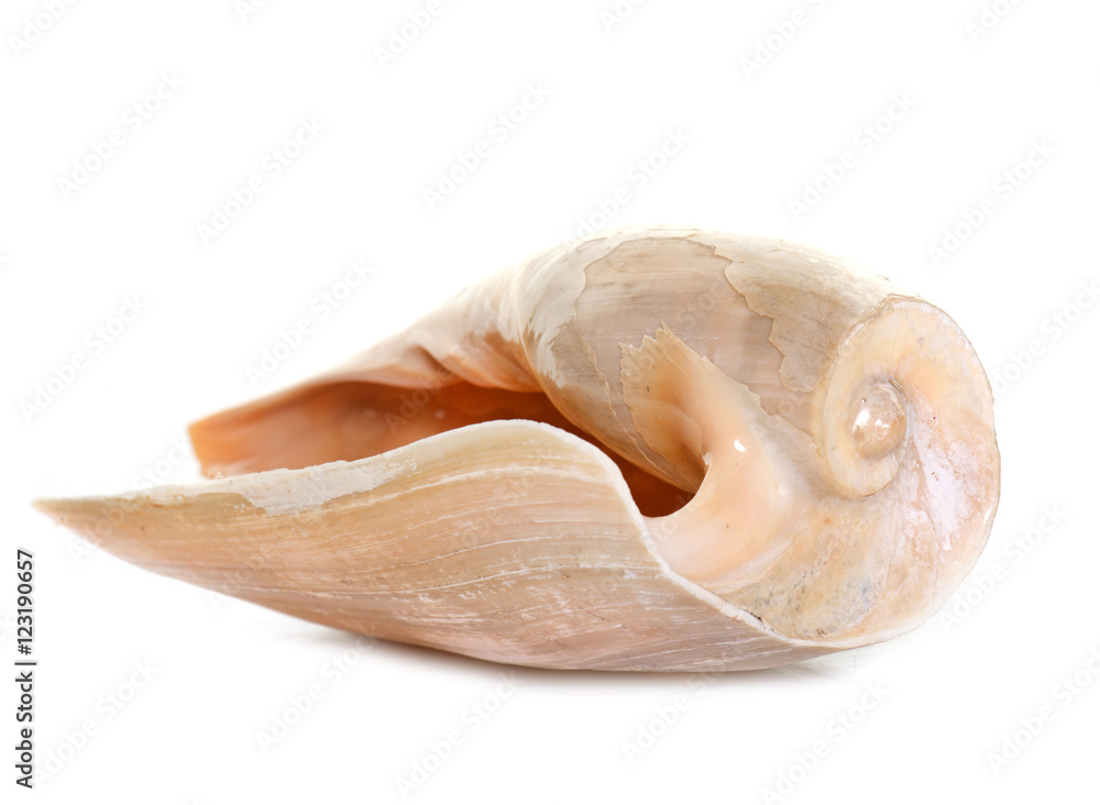 shellfish in studio shellfish in studio