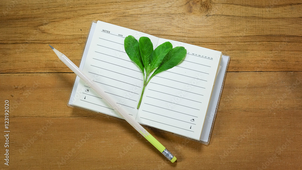 Seedlings notebook and pencil on wood floors. Seedlings notebook and pencil on wood floors.