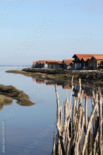 port ostréicole de Gujan-Mestras,bassin d'Arcachon photo