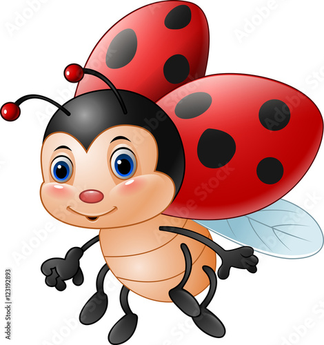 Cartoon funny ladybug