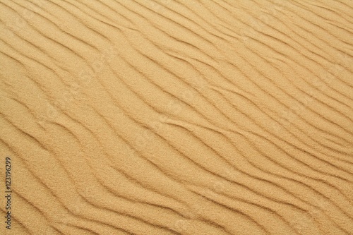 golden sand on the beach 12