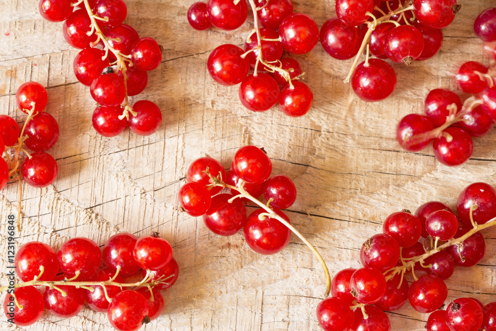 Currant Currant