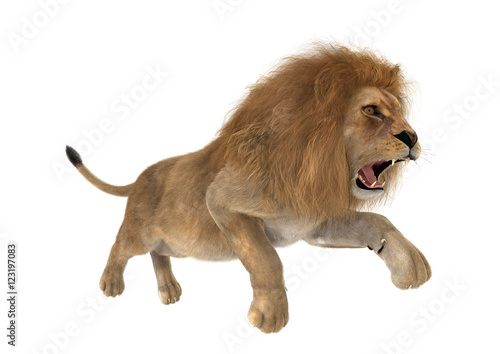 Fototapeta Naklejka Na Ścianę i Meble -  3D Rendering Male Lion on White