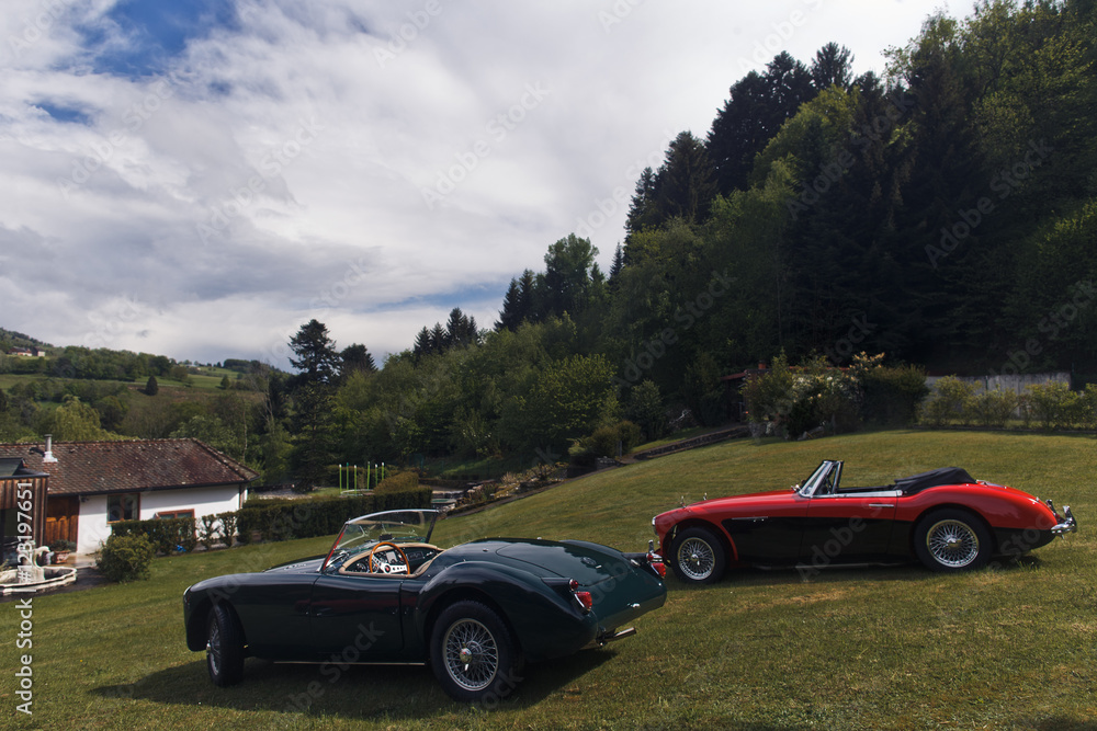 expensive vintage sports cars on the background of nature