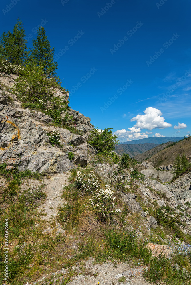 mountain valley forest sky