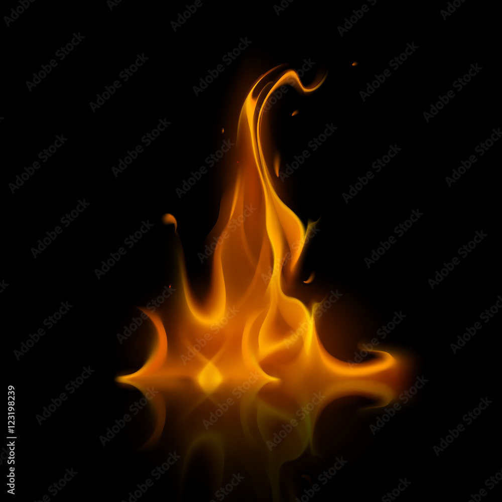 Vector Yellow Orange Fire Flame Bonfire Isolated on Background Vector Yellow Orange Fire Flame Bonfire Isolated on Background
