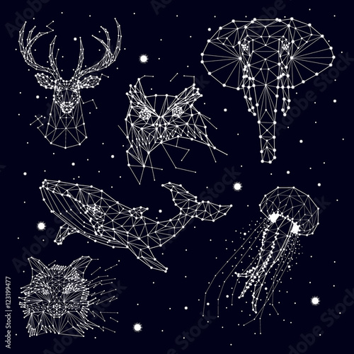 set of constellation , elephant, owl, deer, whales , jellyfish , fox , star , vector graphics