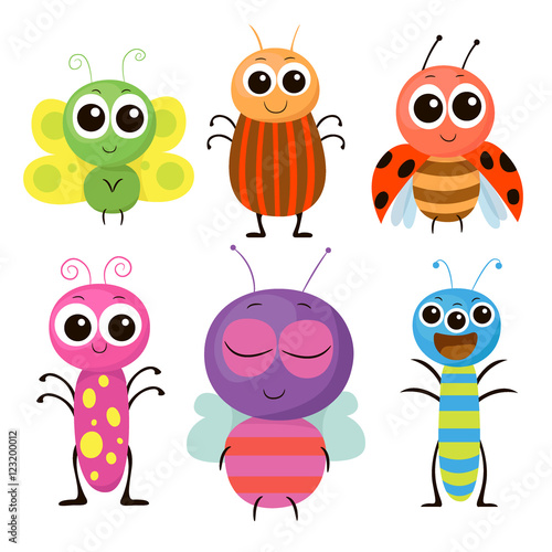 insect, beetle , butterfly, vector graphics