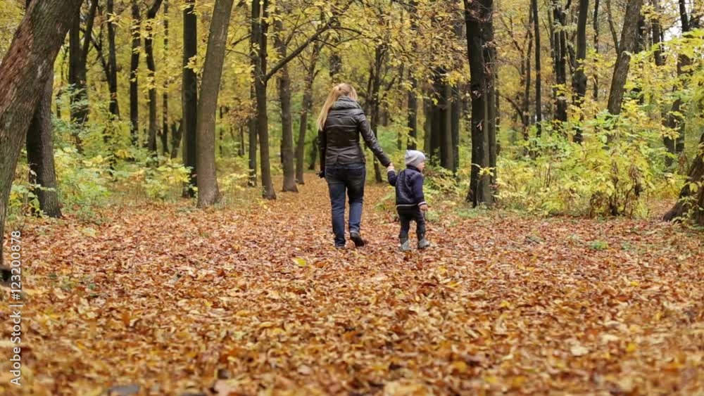 Happy mom and the little boy walks in autumn alley. Happy mom and the little boy walks in autumn alley.