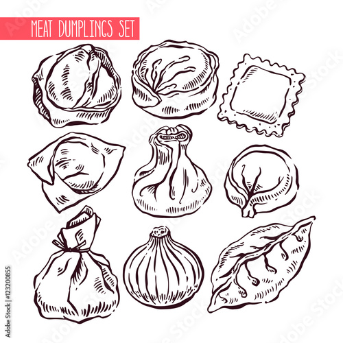 set of sketch different dumplings