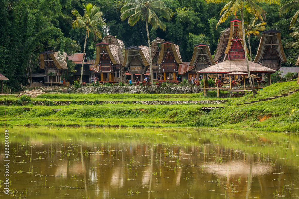 Fototapeta premium Tana Toraja