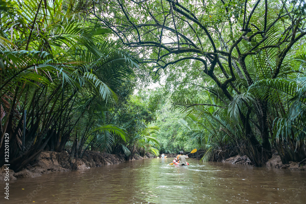 Fototapeta premium Kayaking at Klong Sung Nae, Thailand's Little Amazon.