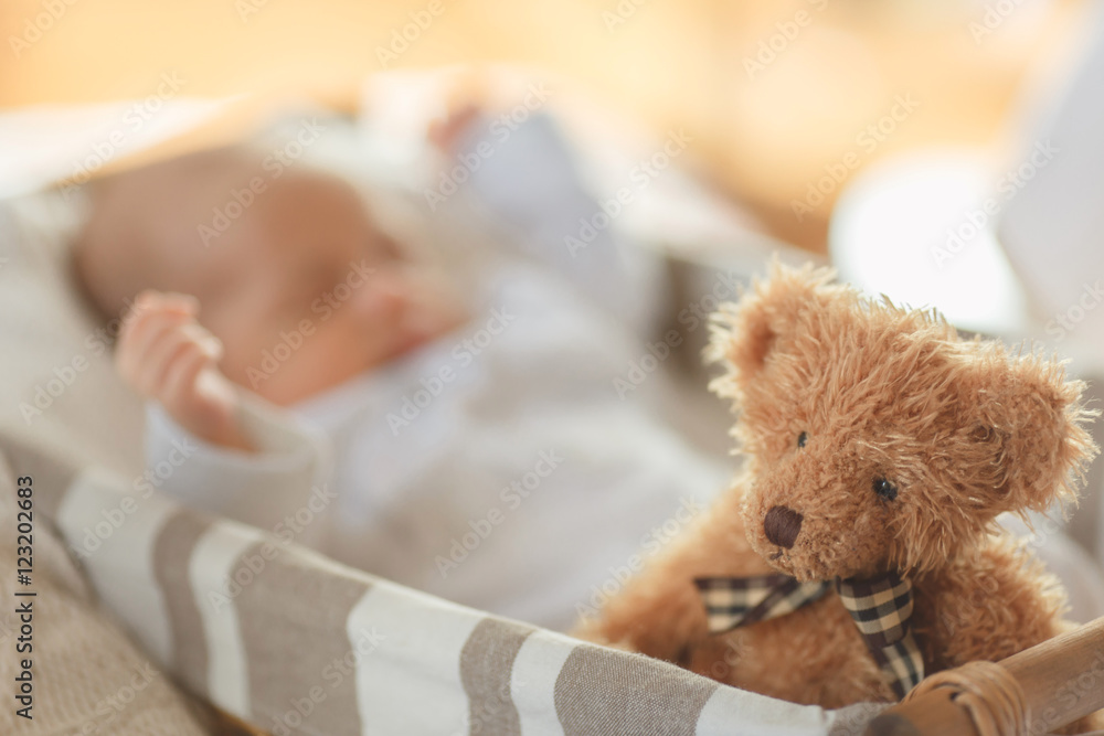 Teddy bear in a basket with a newborn baby
Teddy bear in a basket with a newborn baby
