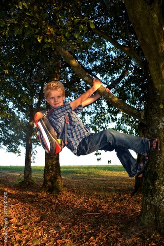 Kleiner blonder Junge h  ngt an einem dicken Ast am Baum mit Schulrucksack
