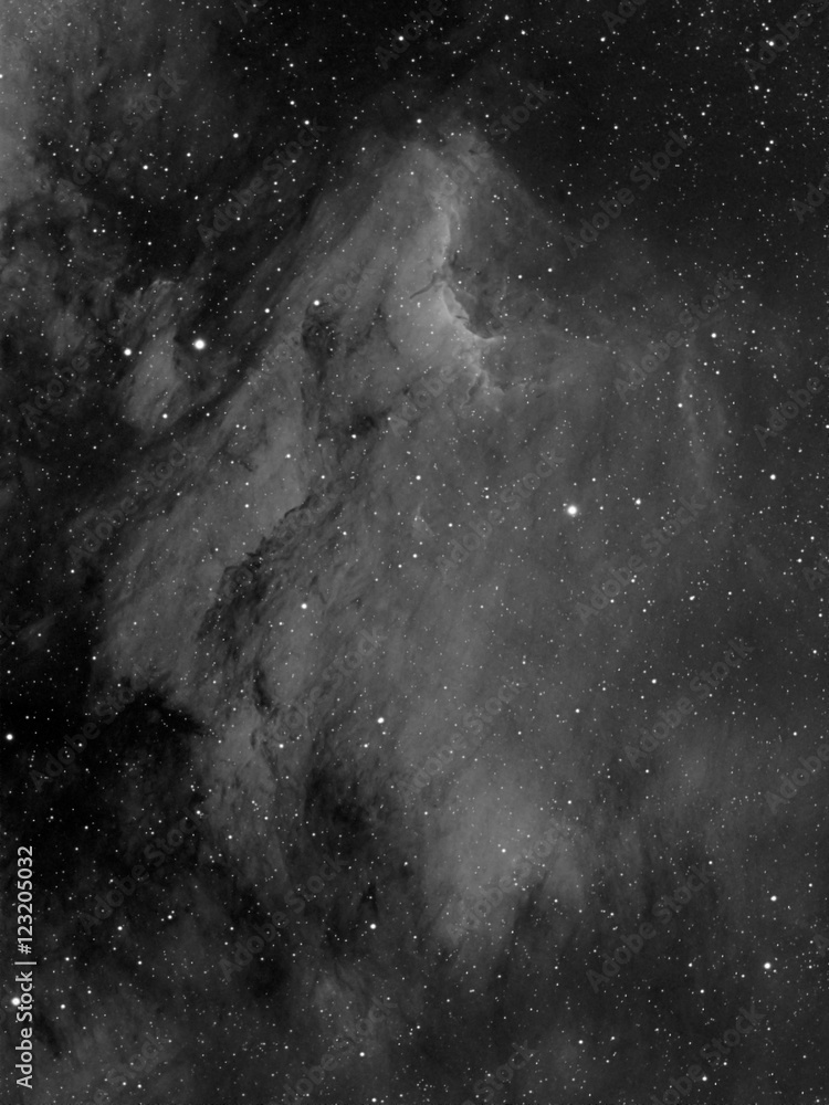 Fototapeta premium Pelican Nebula IC5070 in Hydrogen Alpha
