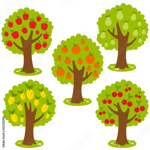 Set of fruit orchard trees. Apple tree, Pear tree, orange tree, lemon tree and cherry tree. Vector illustration
