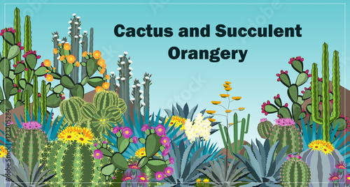 Cute succulents and cactus orangery backrgound.