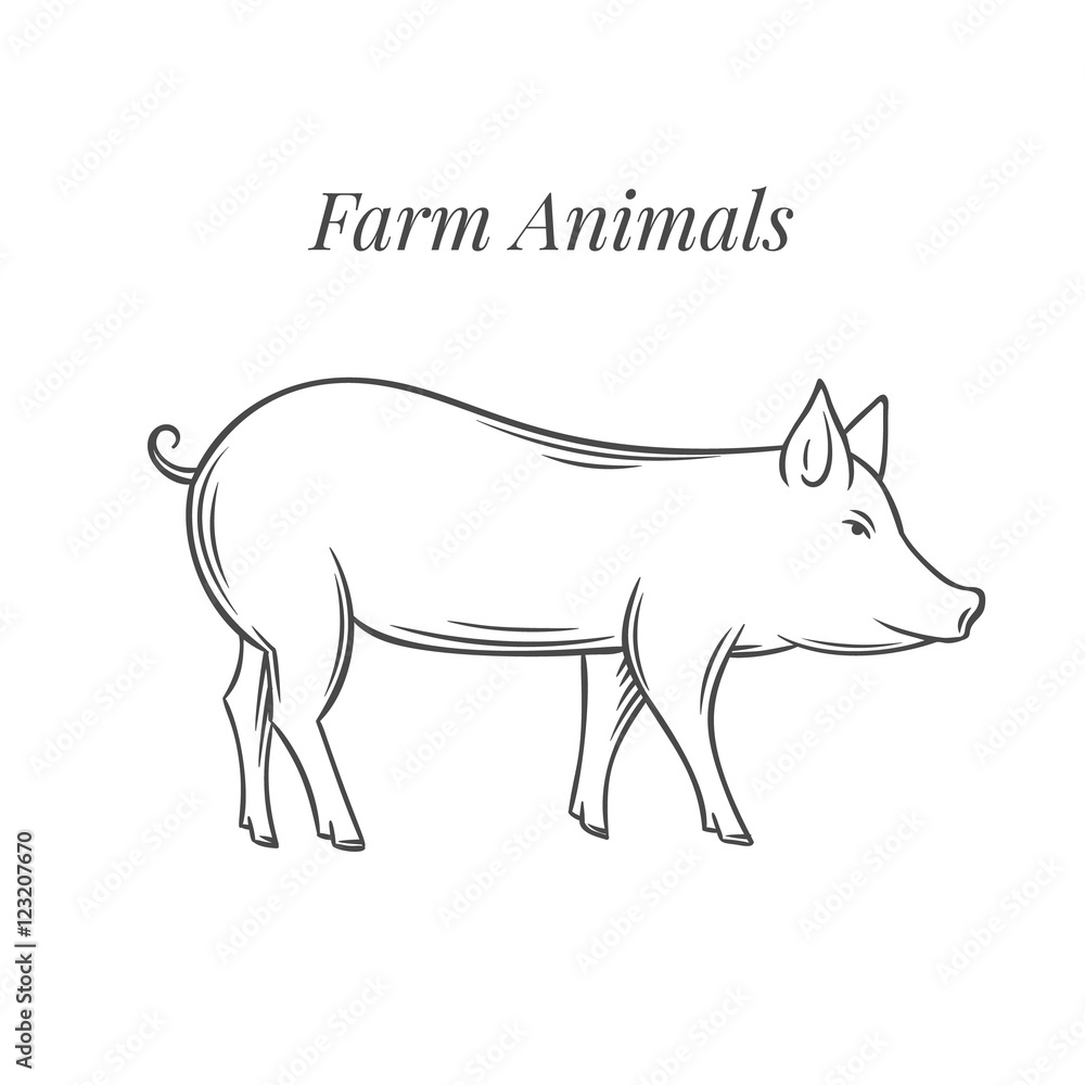 Hand drawn pig icon