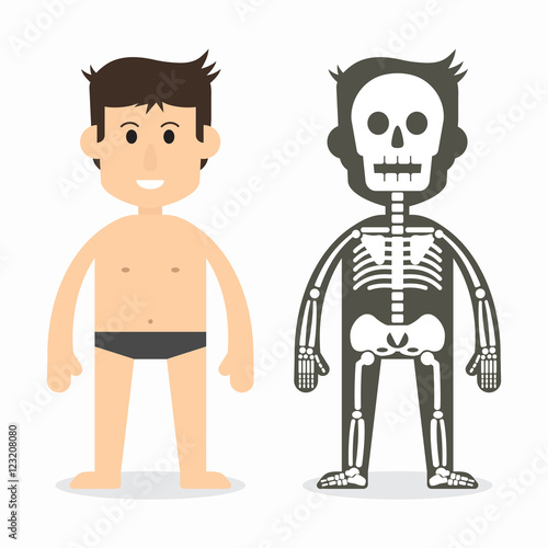 human body and skeletal system ( flat design )