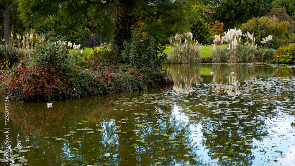 View of the Lake at Wakehurst Place in Sussex View of the Lake at Wakehurst Place in Sussex
