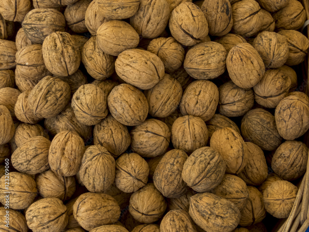 walnuts walnuts