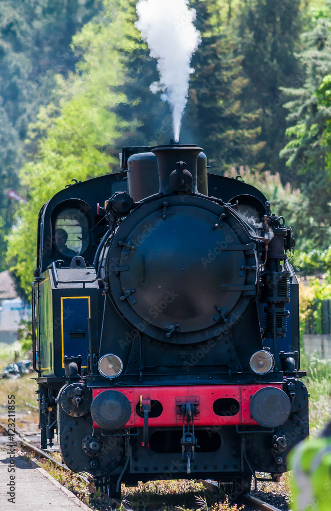 Naklejka premium Train à vapeur à Anduze.