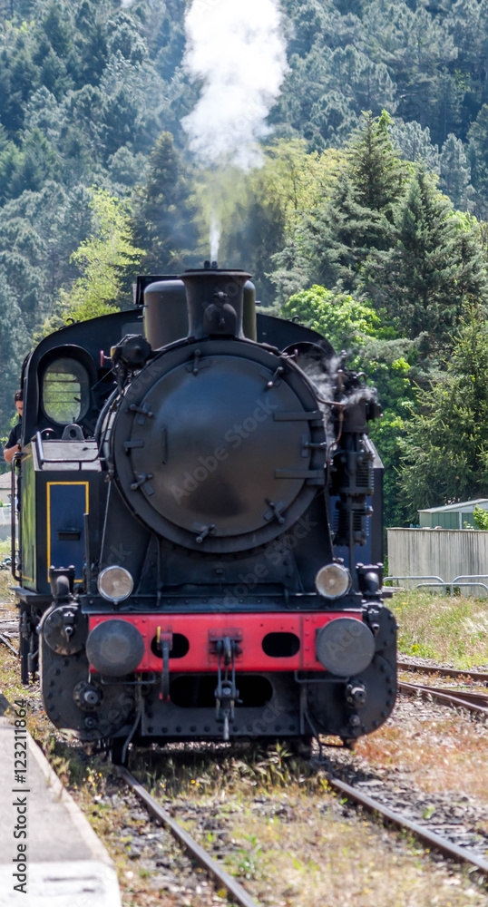 Naklejka premium Train à vapeur à Anduze.