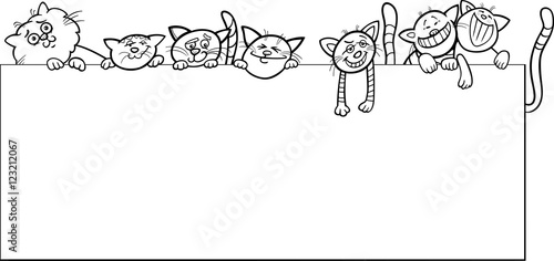 cats with frame design