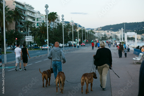 People with dogs walk aroung evening city