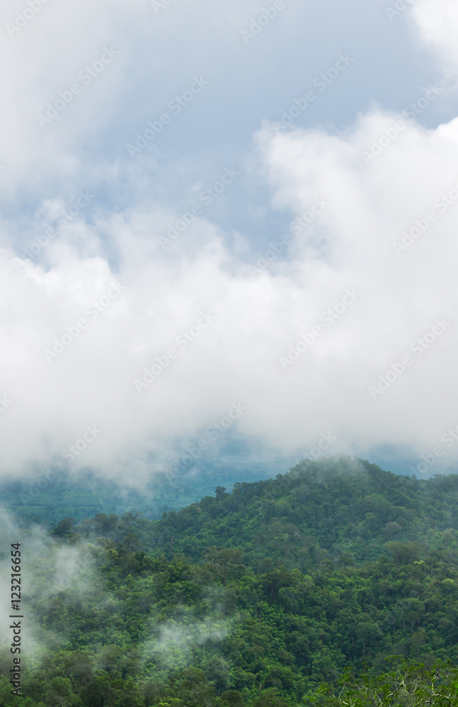 Mountains with trees and fog in Thailand