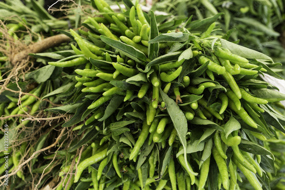 Fresh green peppers at the farmers market Fresh green peppers at the farmers market