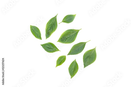  Basil leaf  Fresh Have medicinal properties  Healthy on white background © pramot48