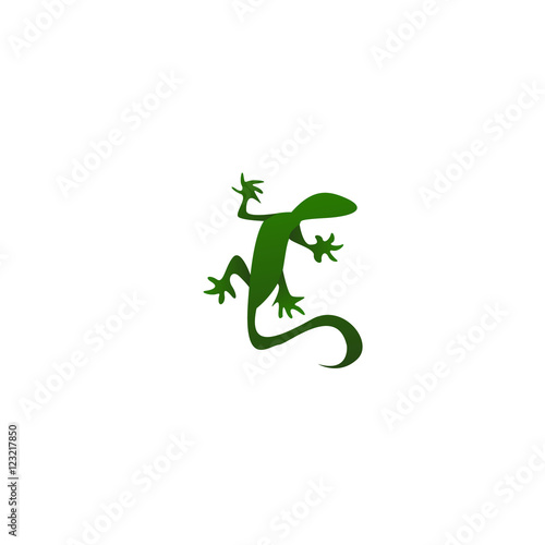 Lizard Vector