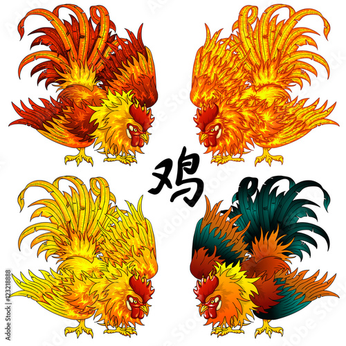 Fighting rooster four color version