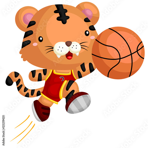 Fototapeta Naklejka Na Ścianę i Meble -  Basketball Tiger