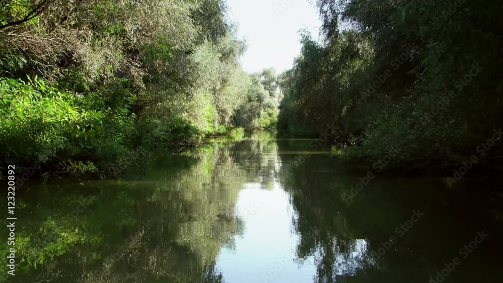 Danube delta forested wetlands in motion Danube delta forested wetlands in motion