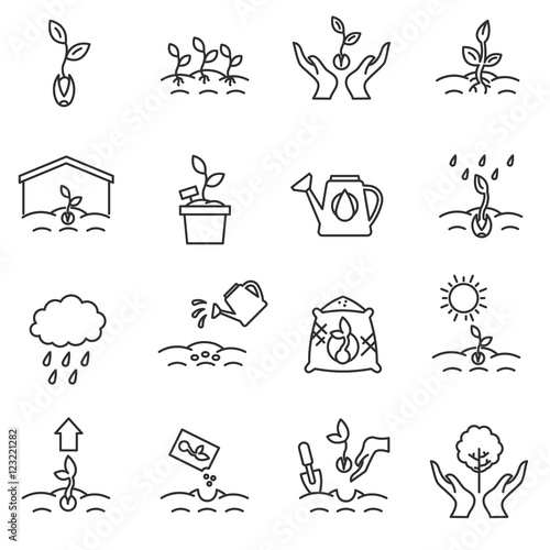 sprout icons set. growing plants from seeds collection. cultivation, care of sprouts and seedlings.Thin line design. gardening, vector linear illustration
