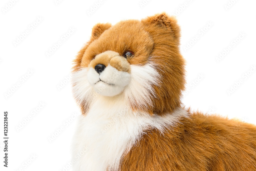Dolly Dog Cute Close up toy beautiful on white background Dolly Dog Cute Close up toy beautiful on white background